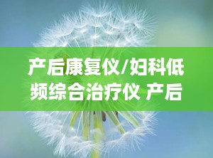 产后康复仪/妇科低频综合治疗仪 产后康复治疗仪使用视频