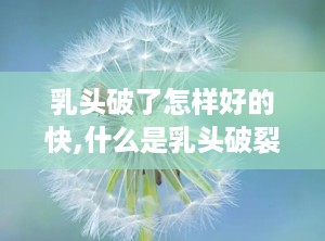 乳头破了怎样好的快,什么是乳头破裂？