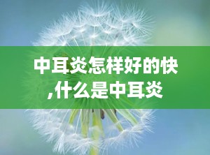 中耳炎怎样好的快,什么是中耳炎