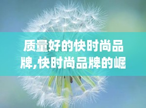 质量好的快时尚品牌,快时尚品牌的崛起