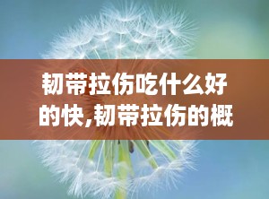 韧带拉伤吃什么好的快,韧带拉伤的概述