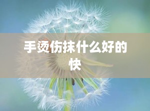手烫伤抹什么好的快
