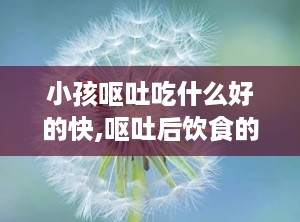 小孩呕吐吃什么好的快,呕吐后饮食的基本原则