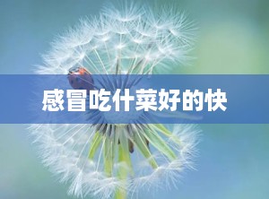 感冒吃什菜好的快