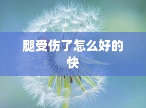 腿受伤了怎么好的快