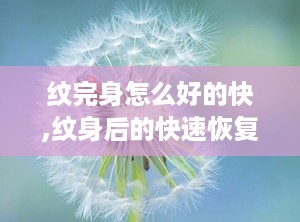 纹完身怎么好的快,纹身后的快速恢复指南