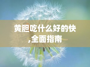 黄胆吃什么好的快,全面指南