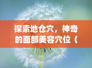 探索地仓穴，神奇的面部美容穴位（地仓定位的准确位置）
