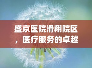 盛京医院滑翔院区，医疗服务的卓越典范（盛京医院滑翔院区电话）