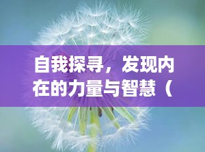 自我探寻，发现内在的力量与智慧（怎么自己做网站）