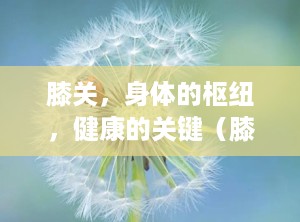 膝关，身体的枢纽，健康的关键（膝关节射频消融术）