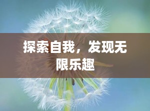 探索自我，发现无限乐趣