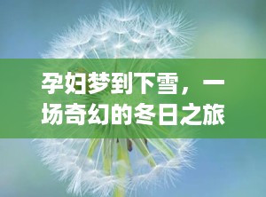 孕妇梦到下雪，一场奇幻的冬日之旅