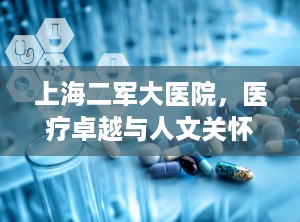 上海二军大医院，医疗卓越与人文关怀的典范（上海二军大医院又称什么医院）