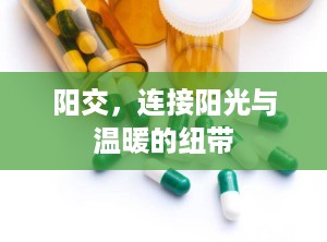 阳交，连接阳光与温暖的纽带