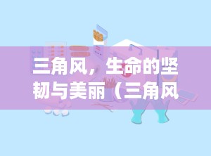 三角风，生命的坚韧与美丽（三角风的功效与作用）