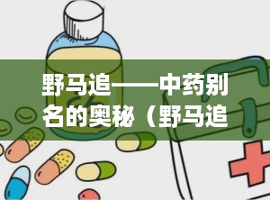 野马追——中药别名的奥秘（野马追中药别名图片）
