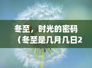 冬至，时光的密码（冬至是几月几日2024）