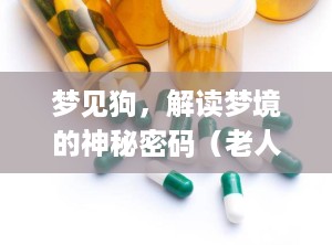 梦见狗，解读梦境的神秘密码（老人梦见狗是什么征兆）