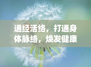 通经活络，打通身体脉络，焕发健康活力（通经活络活血化瘀最强的中草药）