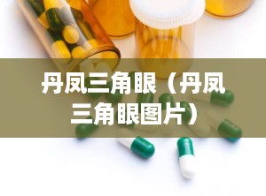 丹凤三角眼（丹凤三角眼图片）