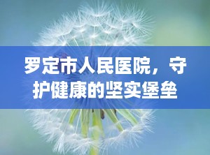 罗定市人民医院，守护健康的坚实堡垒（罗定市人民医院是三甲医院吗）