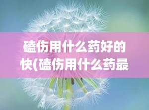 磕伤用什么药好的快(磕伤用什么药最好)