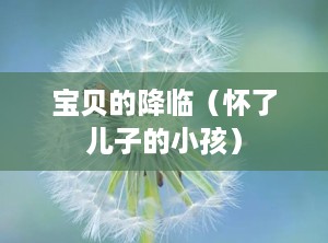 宝贝的降临（怀了儿子的小孩）