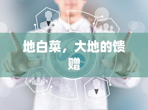 地白菜，大地的馈赠