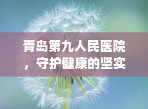 青岛第九人民医院，守护健康的坚实堡垒（青岛第九人民医院体检中心）