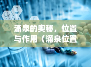 涌泉的奥秘，位置与作用（涌泉位置图和作用的准确位置图）