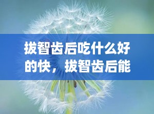 拔智齿后吃什么好的快，拔智齿后能吃什么