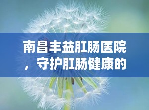南昌丰益肛肠医院，守护肛肠健康的专业港湾（南昌丰益医院是正规医院吗）