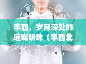 丰西，岁月深处的璀璨明珠（丰西北里）