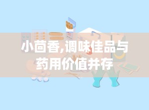 小茴香,调味佳品与药用价值并存