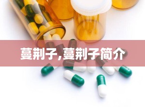 蔓荆子,蔓荆子简介