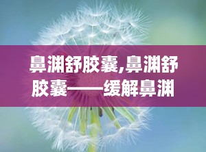 鼻渊舒胶囊,鼻渊舒胶囊——缓解鼻渊症状，畅享清新生活