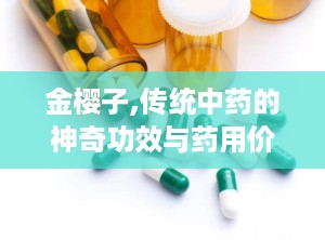 金樱子,传统中药的神奇功效与药用价值