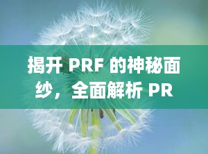 揭开 PRF 的神秘面纱，全面解析 PRF 是什么（prf是什么缩写）
