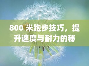800 米跑步技巧，提升速度与耐力的秘诀（800米跑步技巧女生）