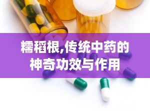 糯稻根,传统中药的神奇功效与作用