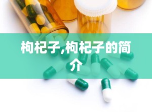 枸杞子,枸杞子的简介