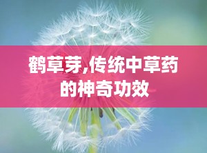 鹤草芽,传统中草药的神奇功效