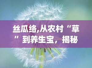 丝瓜络,从农村“草”到养生宝，揭秘其多重功效与用途