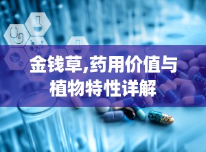 金钱草,药用价值与植物特性详解