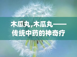 木瓜丸,木瓜丸——传统中药的神奇疗效