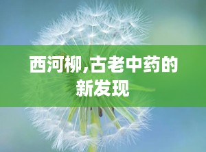 西河柳,古老中药的新发现