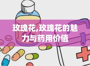 玫瑰花,玫瑰花的魅力与药用价值