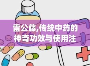 雷公藤,传统中药的神奇功效与使用注意事项