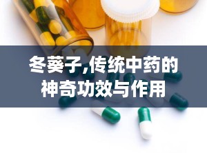冬葵子,传统中药的神奇功效与作用
